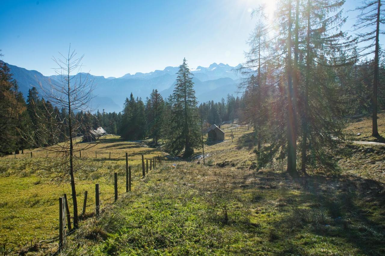 Ferienwohnung Stoablick - barrierefrei mit Bergblick Bad Goisern am Hallstättersee Exterior foto
